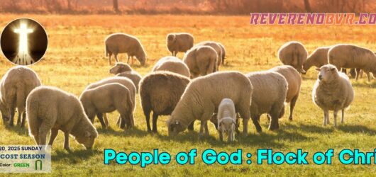 People of God: Flock of Christ
