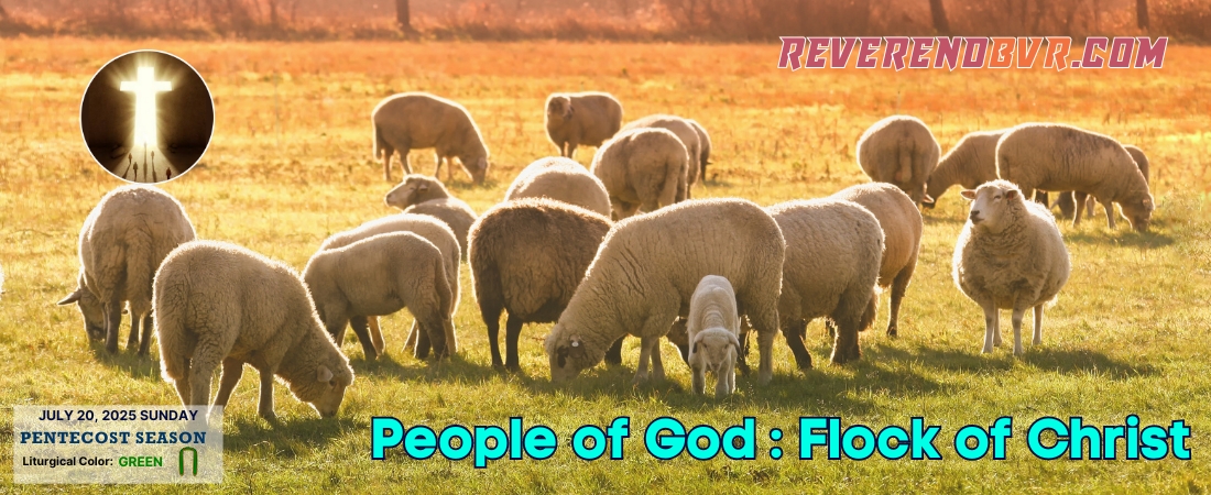 People of God: Flock of Christ