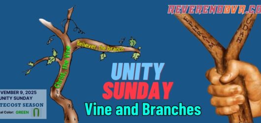 Vine and Branches