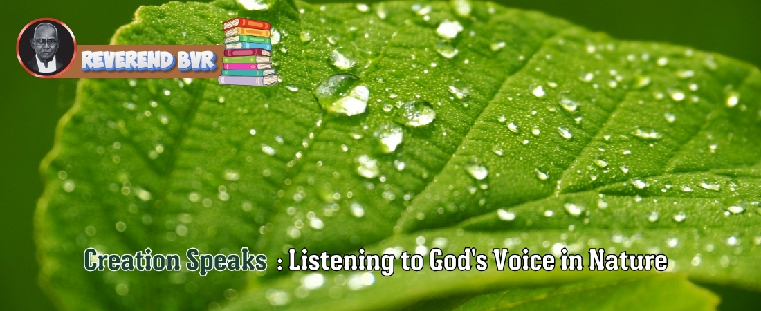 Creation Speaks: Listening to God’s Voice in Nature